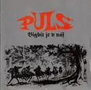 CD - Puls - Bigbít Je V Nás