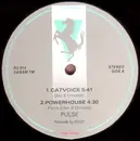 12'' - Pulse - Catvoice