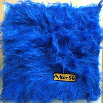 Pulser SG - Primus Inter Pares