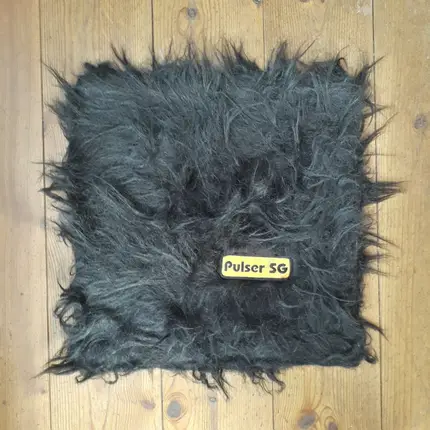 Pulser SG - Primus Inter Pares
