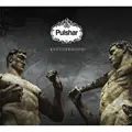 Pulshar - Brotherhood