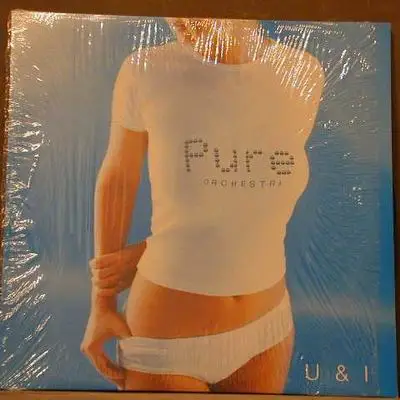 Pure Orchestra - U&I
