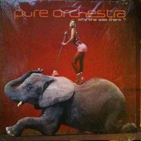 Pure Orchestra - Why She Was There?