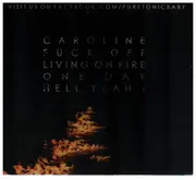 CD - Pure Tonic - We Did Start The Fire - Digipak