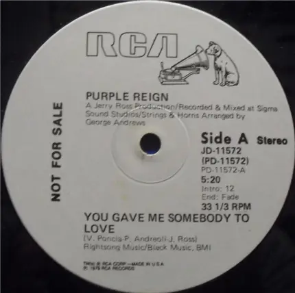 Purple Reign - You Gave Me Somebody To Love