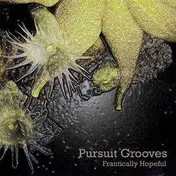 pursuit grooves - Frantically Hopeful EP