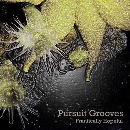 PURSUIT GROOVES - Frantically Hopeful