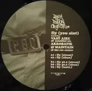 12inch Vinyl Single - Push Button Objects - Fly (You Ain't)