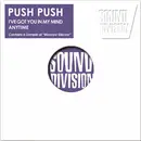 12inch Vinyl Single - Push Push - I've Got You In My Mind / Anytime