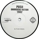 12inch Vinyl Single - Push - Universal Nation 2003