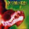 CD - Pushmonkey - Maize