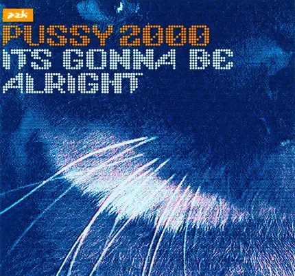 Pussy 2000 - It's Gonna Be Alright
