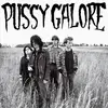12inch Vinyl Single - Pussy Galore - Groovy Hate Fuck - EP
