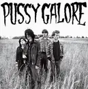 12inch Vinyl Single - Pussy Galore - Groovy Hate Fuck - EP
