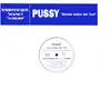 12inch Vinyl Single - Pussy - Gonna Make Me Feel