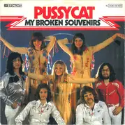 7inch Vinyl Single - Pussycat - My Broken Souvenirs