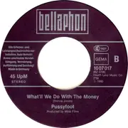 7inch Vinyl Single - Pussyfoot - I Want To Be Me