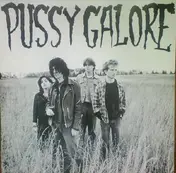 Pussy Galore - Groovy Hate Fuck (Feel Good About Your Body)
