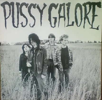 Pussy Galore - Groovy Hate Fuck (Feel Good About Your Body)