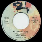 7inch Vinyl Single - Putney Bridge - Oh Day Oh Day