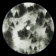 12inch Vinyl Single - Pvnv - Consortium EP - EP