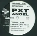 12inch Vinyl Single - Pxt - Angel