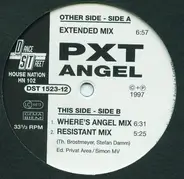 Pxt - Angel