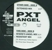 12inch Vinyl Single - Pxt - Angel