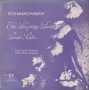 Tchaikovsky - The Sleeping Beauty / Swan Lake
