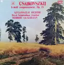LP - Pyotr Ilyich Tchaikovsky , Sviatoslav Richter , Wiener Symphoniker , Herbert Von Karajan - B-Moll Zongoraverseny Op. 23