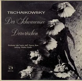 Pyotr Ilyich Tchaikovsky - Der Schwanensee - Dornröschen