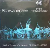 Tschaikowski - Schwanensee