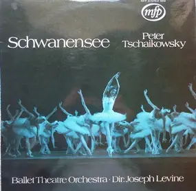 Tschaikowski - Schwanensee