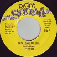 Pygment - New Lease On Life