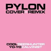 Pylon - COVER + REMIX