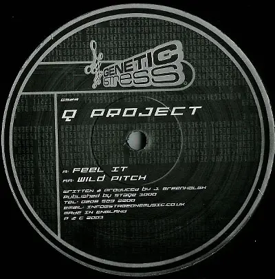 Q Project - Feel It / Wild Pitch