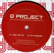 12inch Vinyl Single - Q Project - Love You So / Cry Freedom