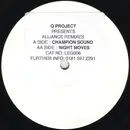 12inch Vinyl Single - Q Project - Alliance Remixes