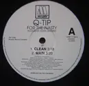 12'' - Q-Tip Featuring Busta Rhymes - For The Nasty