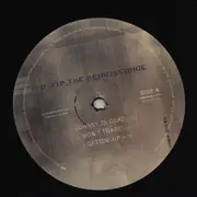 Double LP - Q-Tip - The Renaissance
