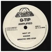 Double LP - Q-Tip - Amplified