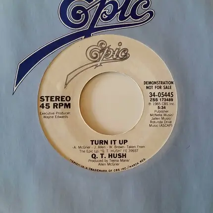 Q.T. Hush - Turn It Up