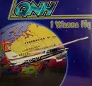 12inch Vinyl Single - Qnh - I Wanna Fly
