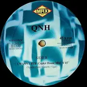 12inch Vinyl Single - Qnh - I Wanna Fly