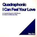 12'' - Quadraphonic - I Can Feel Your Love