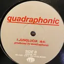 12inch Vinyl Single - Quadraphonic - What's Erotic ?