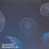 12inch Vinyl Single - Quantec - Moments EP