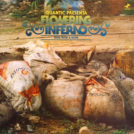 Quantic Presenta Flowering Inferno - Dog with a Rope