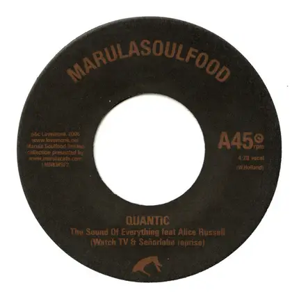 Quantic - The Sound Of Everything
