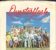 7inch Vinyl Single - Quarterflash - Take Another Picture
